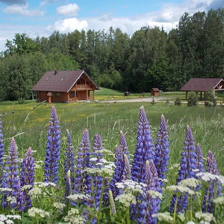 Guest House Kalnini Kārļi Buitenkant foto