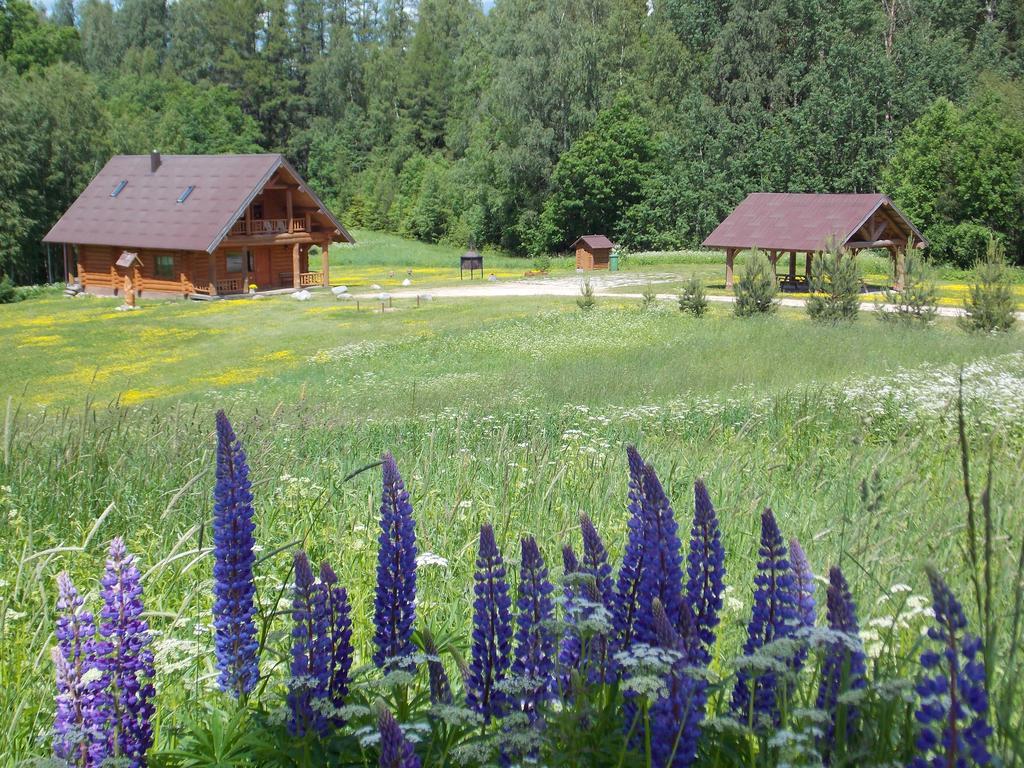 Guest House Kalnini Kārļi Buitenkant foto