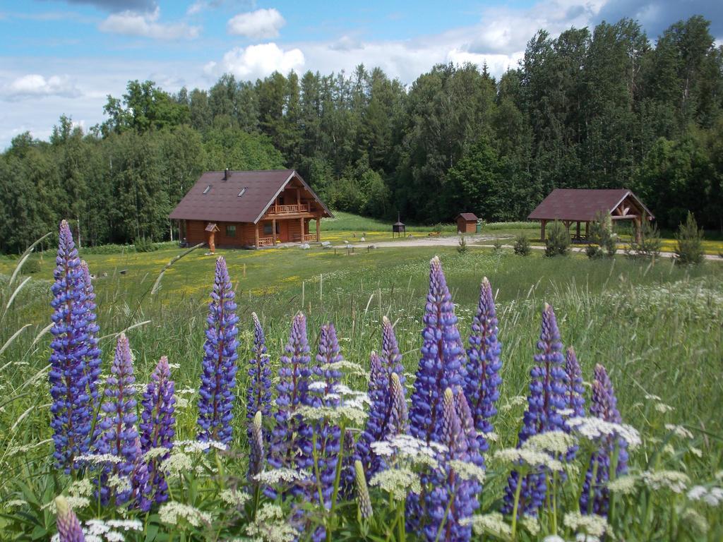 Guest House Kalnini Kārļi Buitenkant foto
